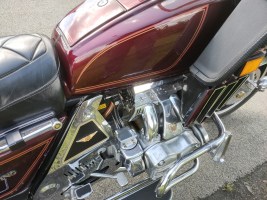 Honda Goldwing (9)